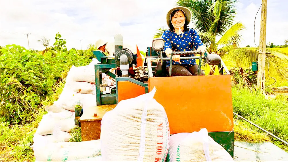 Để nhân rộng Đề án 1 triệu ha lúa chuyên canh chất lượng cao: Sớm tháo gỡ các vướng mắc