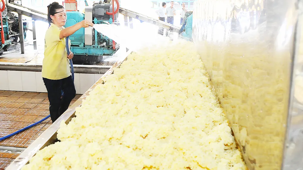 Xuất khẩu cao su nguyên liệu mang lại giá trị không cao. Ảnh: THÀNH TRÍ