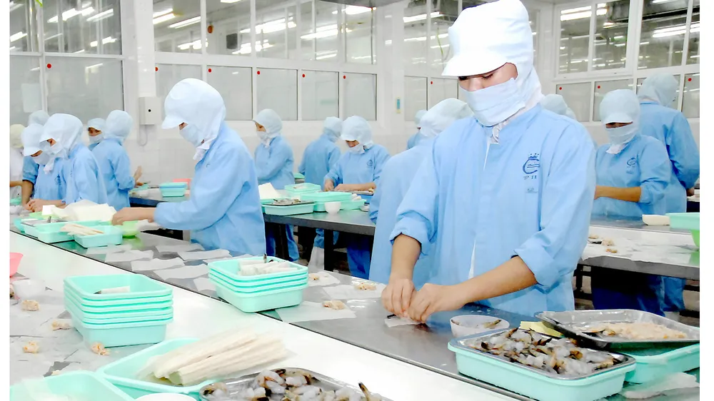 Chế biến tôm xuất khẩu tại Công ty Cholimex. Ảnh: THÀNH TRÍ