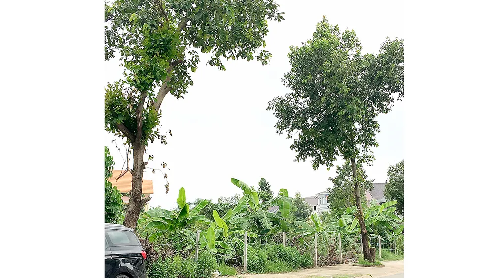 Biến đất công viên thành chung cư