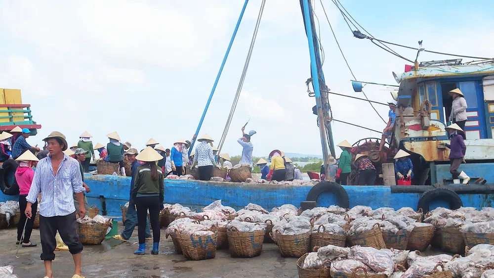 Đỏ mắt tìm bạn ghe