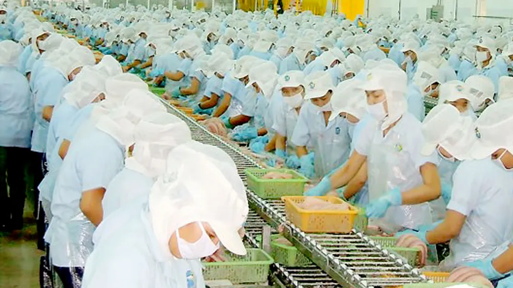 Quản lý chặt nguyên liệu hải sản nhập khẩu 