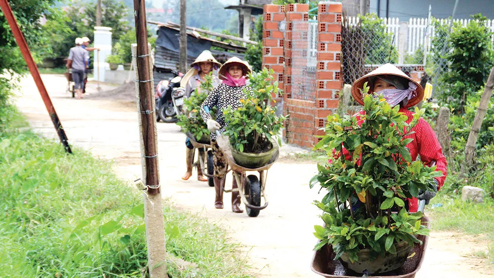 Nông dân miền Trung chuẩn bị vào mùa sau lũ bão