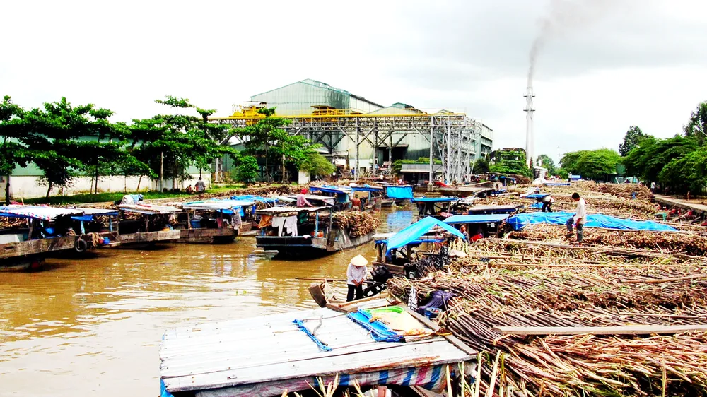 Áp lực ngày càng đè nặng lên ngành mía đường trong quá trình hội nhập