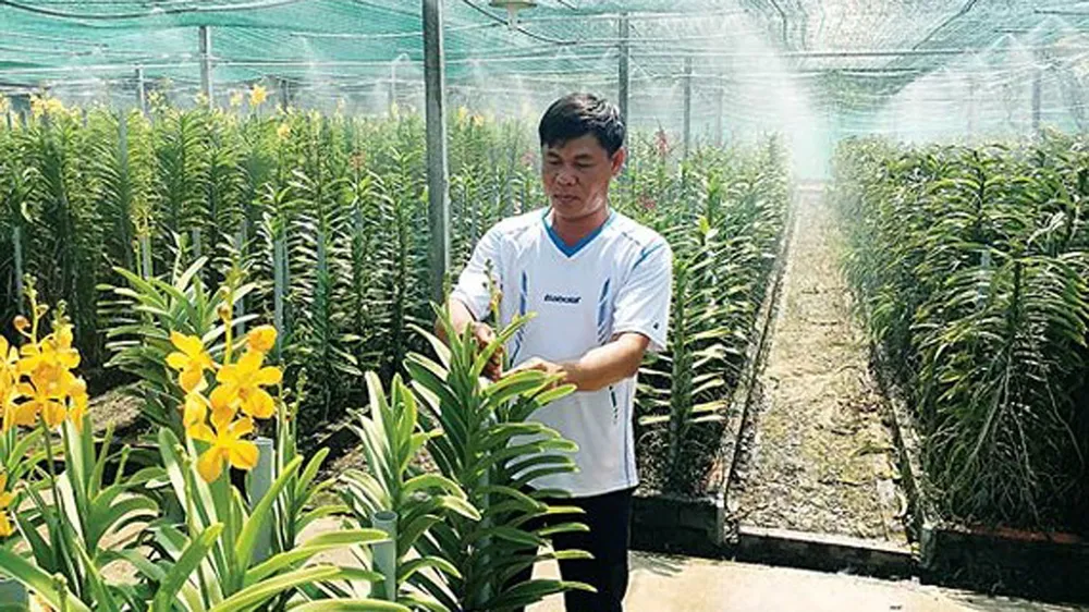 83% lao động nông nghiệp qua đào tạo có việc làm