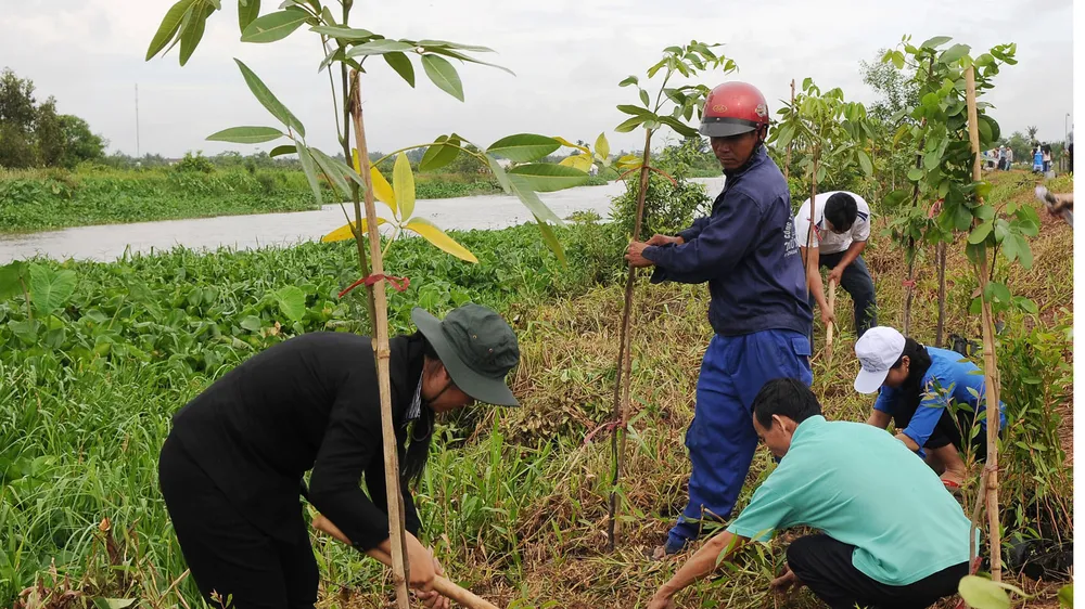 Kiểm soát môi trường chặt chẽ