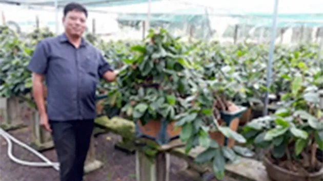 Làm giàu với nghề trồng hoa, cây kiểng