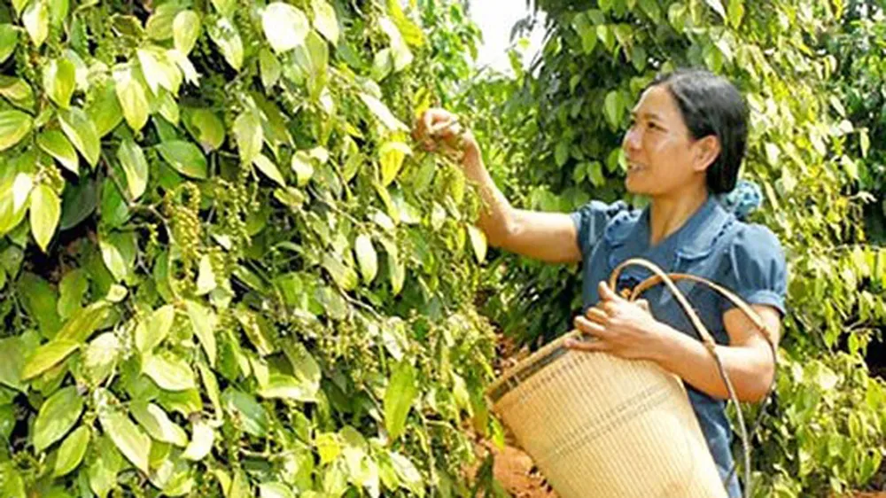Tiếp cận 2 chiều