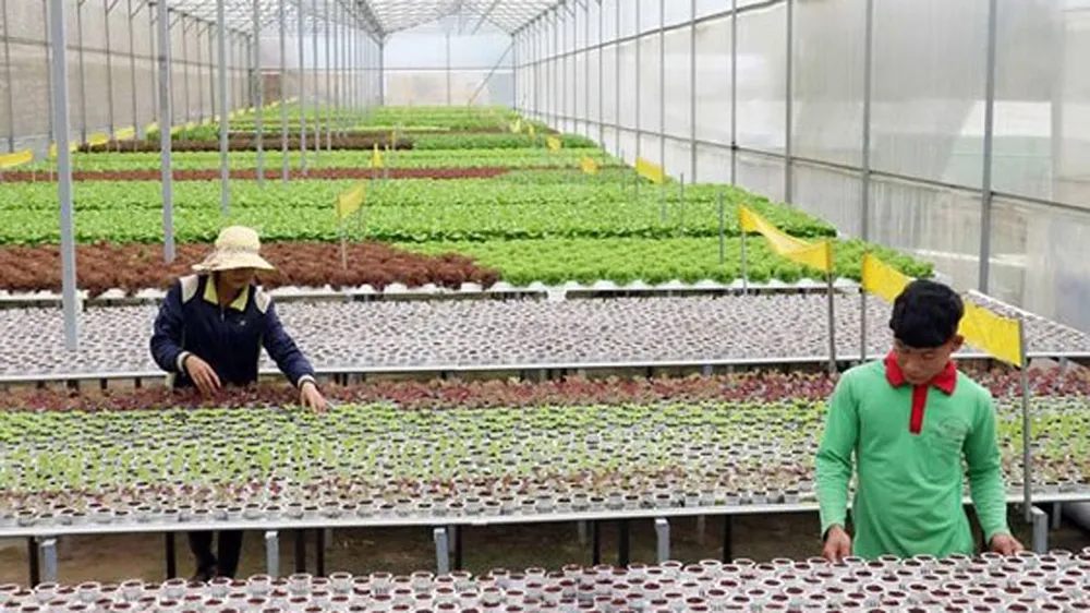 Đưa công nghệ vào nông nghiệp vùng Nam Trung bộ - Tây Nguyên