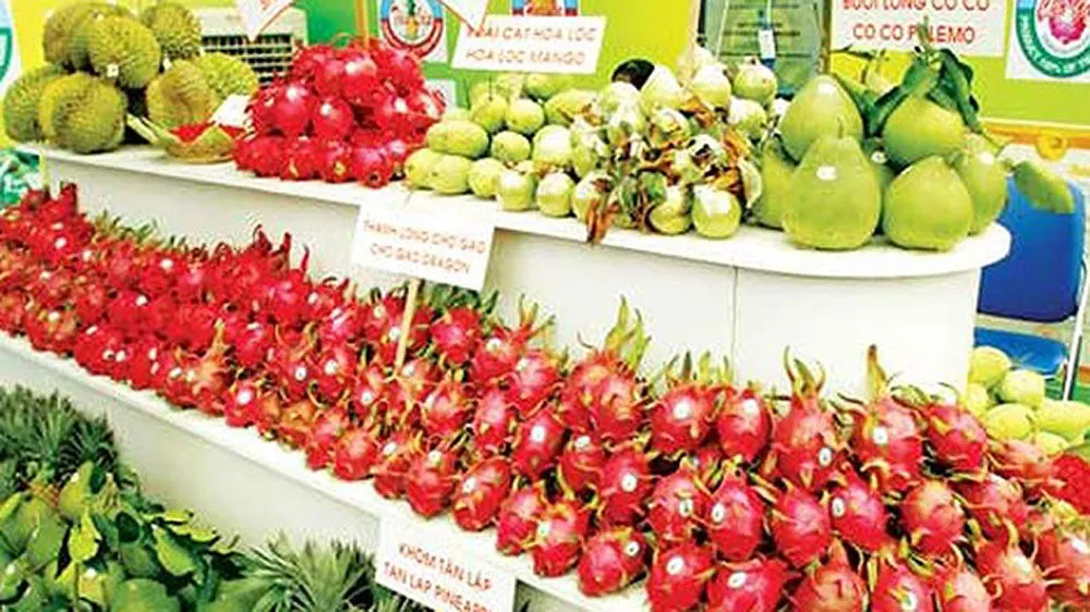 Tín hiệu vui xuất khẩu trái cây