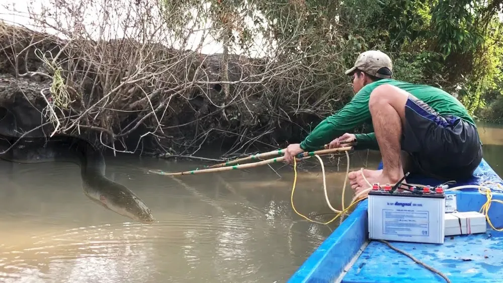 Kích điện bắt cá vẫn lộng hành