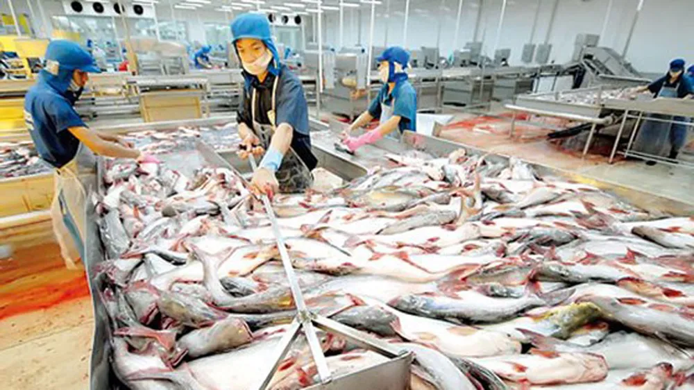 Nâng chất để phát triển bền vững