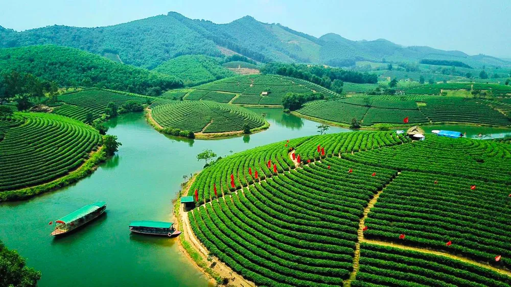  Saigontourist hỗ trợ phát triển sâu rộng du lịch Nghệ An