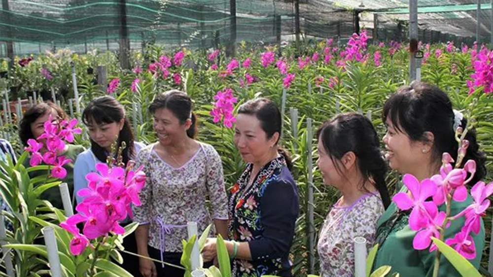 Festival Hoa lan TPHCM thu hút 90.000 lượt khách