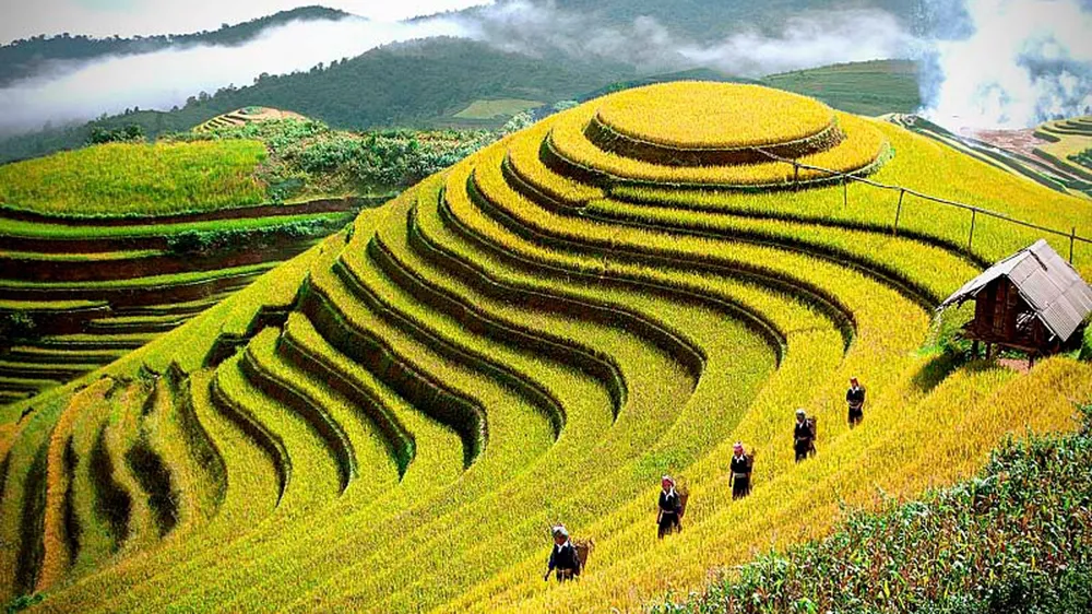 Tận dụng cơ hội