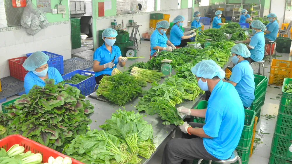 Thực phẩm sạch vẫn khó tiếp cận nhà hàng, khách sạn 