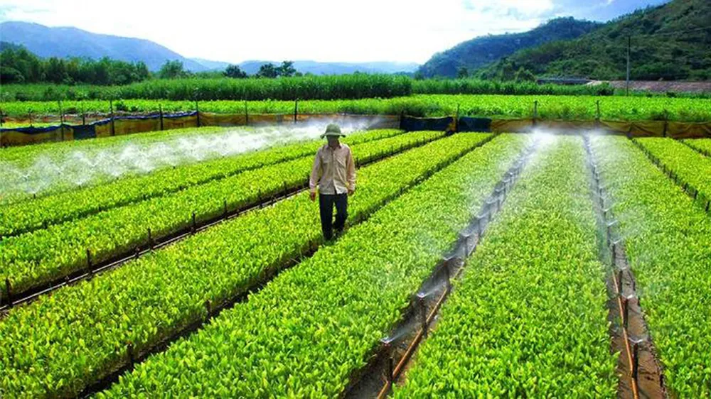 Đề xuất miễn thuế sử dụng đất nông nghiệp đến năm 2030