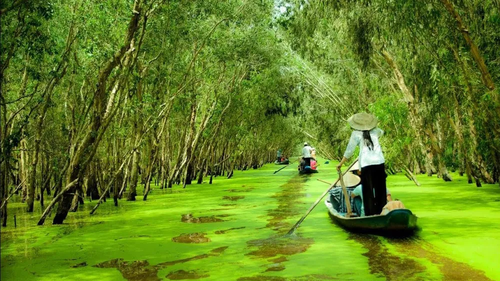 Du khách đến ĐBSCL tăng mạnh