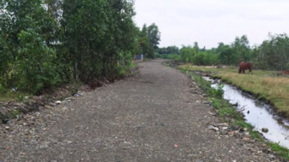 Đề nghị điều tra vụ chuyển hơn 7.000m² đất công thành đất tư