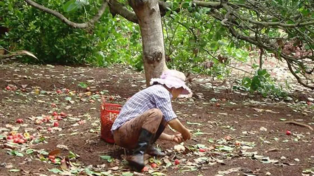 Chậm chi trả tiền hỗ trợ dân mất mùa điều