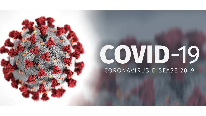 WHO cho rằng “rất nhiều khả năng” virus SARS-CoV-2 xuất phát từ động vật