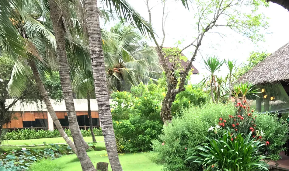 Những cung đường nở hoa