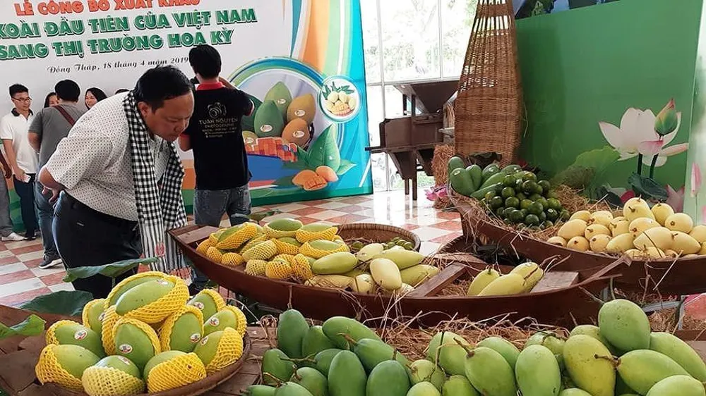 Giám sát quản lý mã vùng trồng và cơ sở đóng gói trái cây xuất khẩu