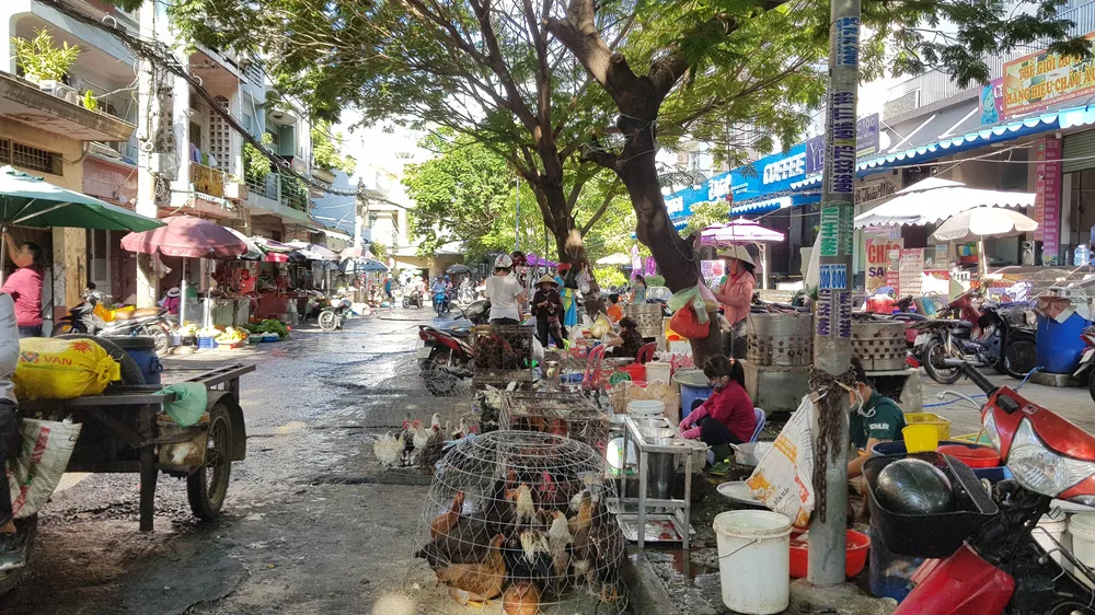 Buôn bán gia cầm sống vẫn tràn lan