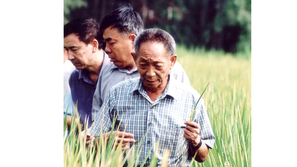 Vĩnh biệt cha đẻ “cây lúa cao hơn đầu người”