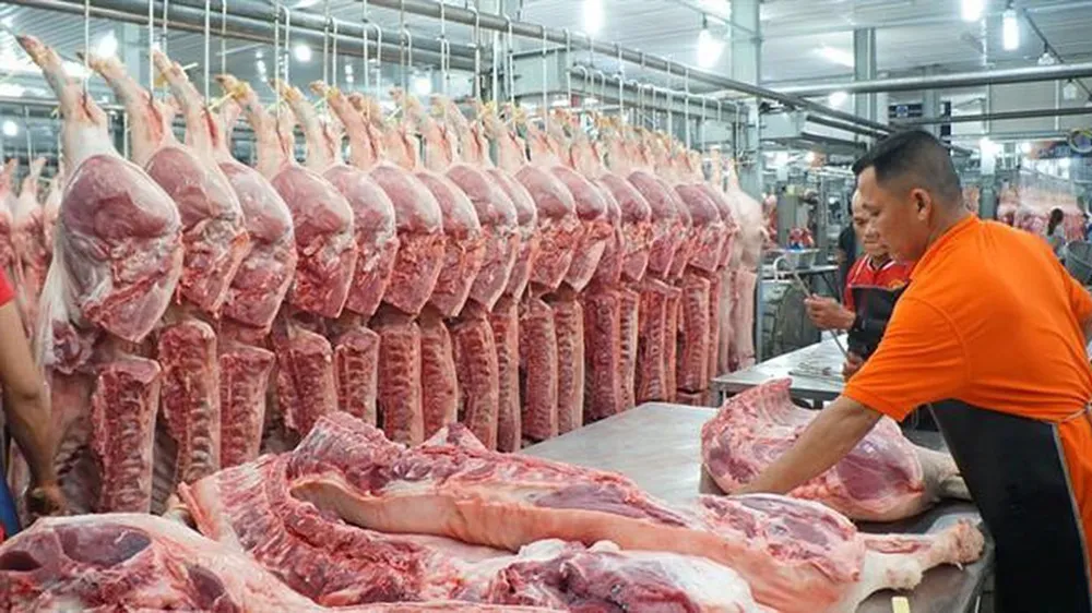 Đảm bảo nguồn cung thịt heo tăng thêm 10%-15% dịp Tết Nguyên đán 