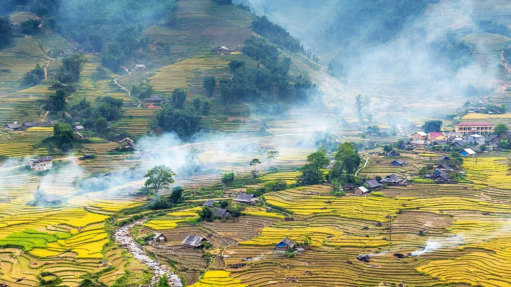 Tiếng chày