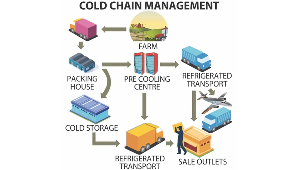 Phát triển chuỗi cung ứng lạnh để tiết kiệm thực phẩm