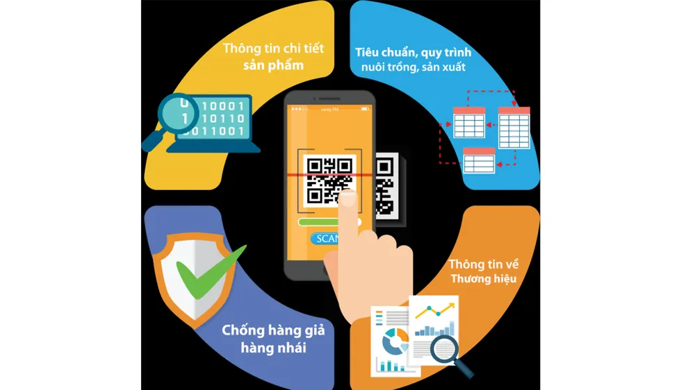 Sàn thương mại điện tử siết truy xuất nguồn gốc hàng hóa 