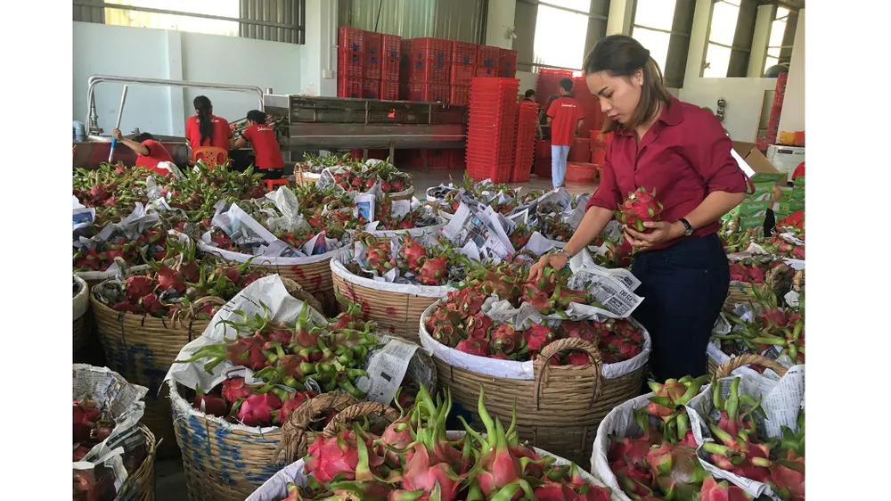 Nâng chất, con đường sống còn