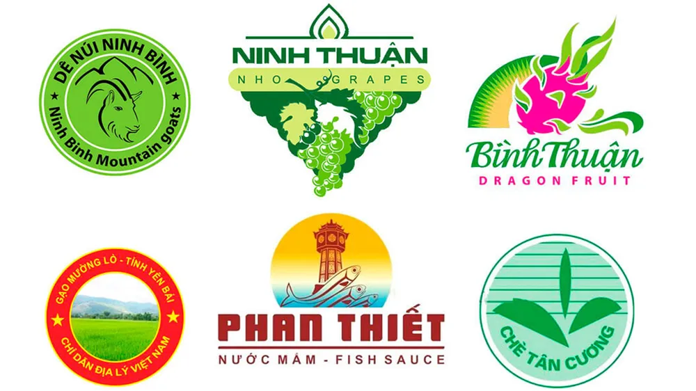 Thúc đẩy việc bảo hộ nhãn hiệu và chỉ dẫn địa lý 