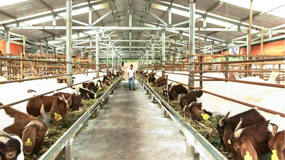 Giảm bớt đầu mối quản lý để “nhẹ gánh” cho nông dân