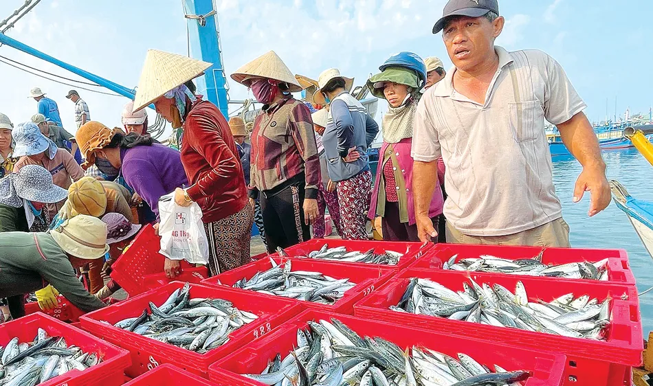 Rộng cửa cho hàng thủy sản 