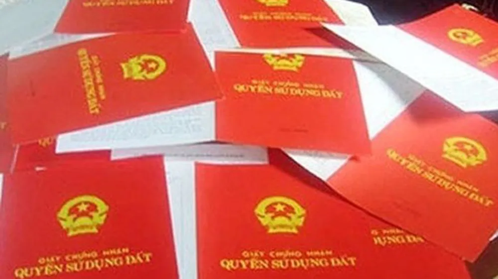 Đắk Nông: Truy tố 3 cán bộ vi phạm trong quản lý đất đai