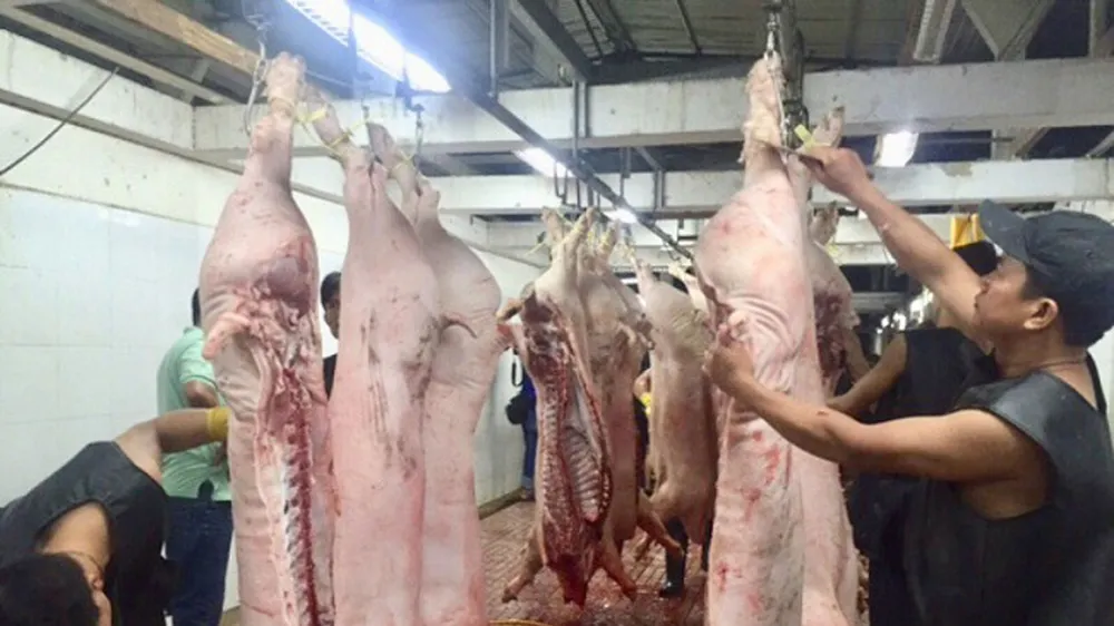 Giá heo hơi đang giảm