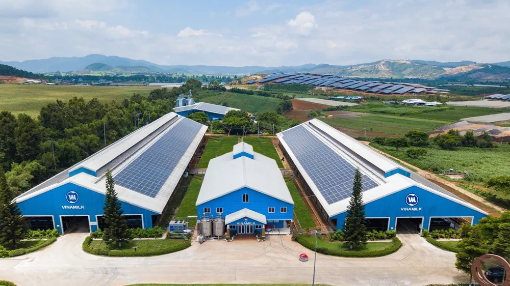 Vì sao nhà đầu tư nên chọn ít nhất 1 cổ phiếu ESG trong danh mục đầu tư?