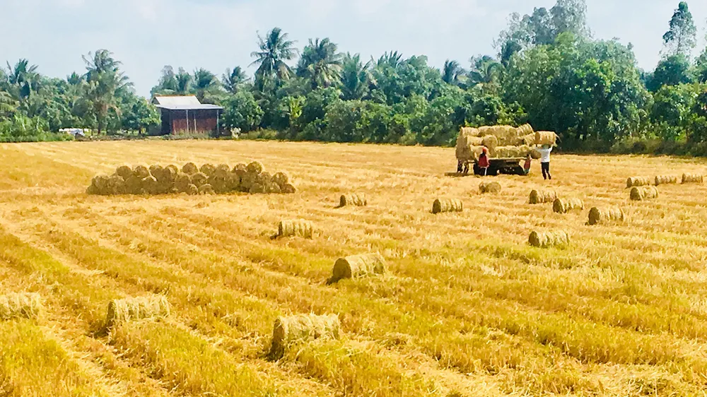 Nâng niu “hạt ngọc trời”