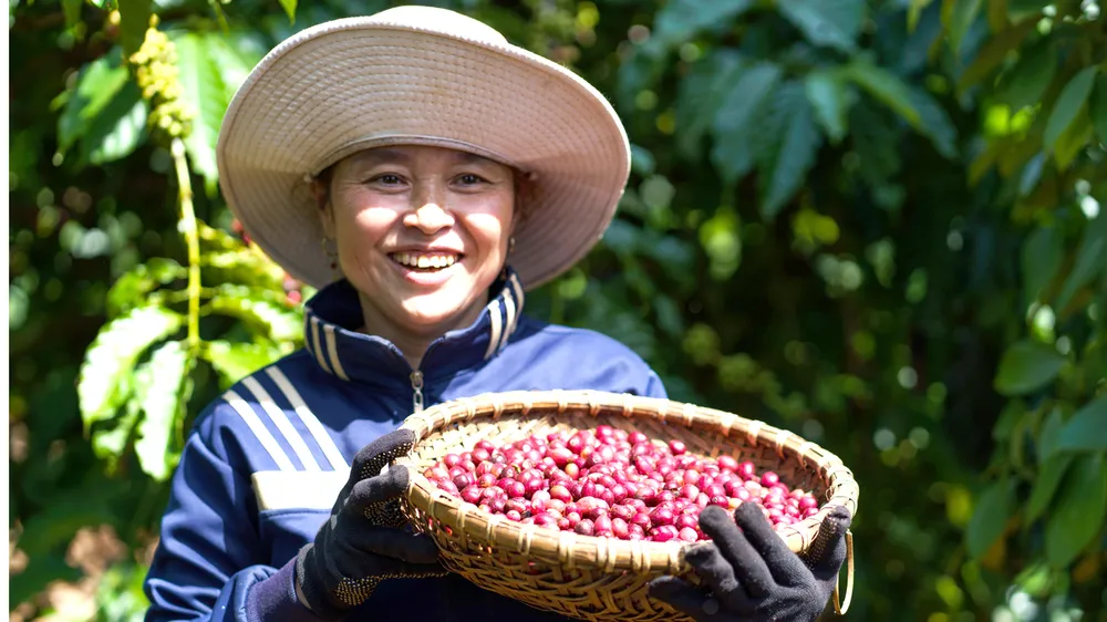 Nestlé thúc đẩy nền nông nghiệp phát thải thấp
