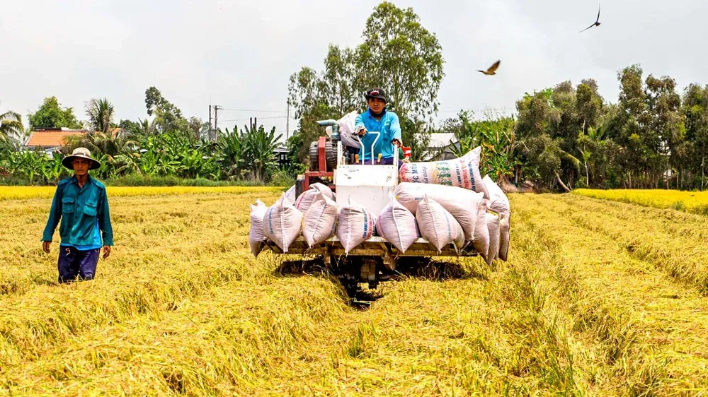 Thời hạn cho vay của Quỹ Hỗ trợ nông dân không quá 5 năm