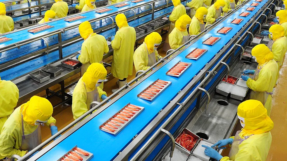 Công nhân Nhà máy tôm đông lạnh CP Việt Nam tại Thừa Thiên Huế đang sơ chế tôm