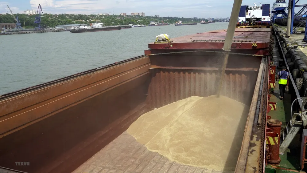 Chuyển lúa mỳ lên tàu tại cảng quốc tế Rostov-on-Don, Nga