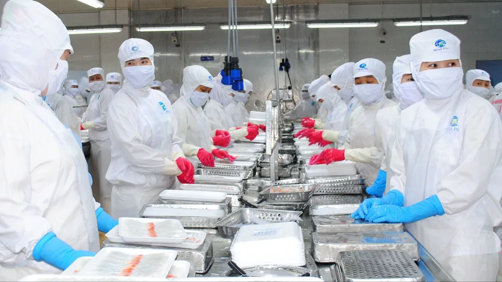 Cà Mau: Năm 2023, thu ngân sách đạt 5.380 tỷ đồng