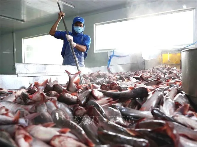 ĐBSCL: Giá thực phẩm có xu hướng giảm