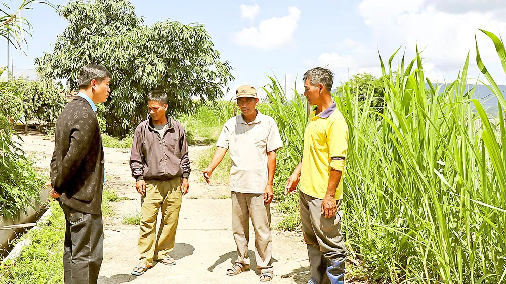 Ông Ma Ren (thứ hai từ phải qua), xã Ka Đô, huyện Đơn Dương, tỉnh Lâm Đồng, là người tiên phong đưa mô hình sản xuất mới về địa phương. Ảnh: ĐOÀN KIÊN