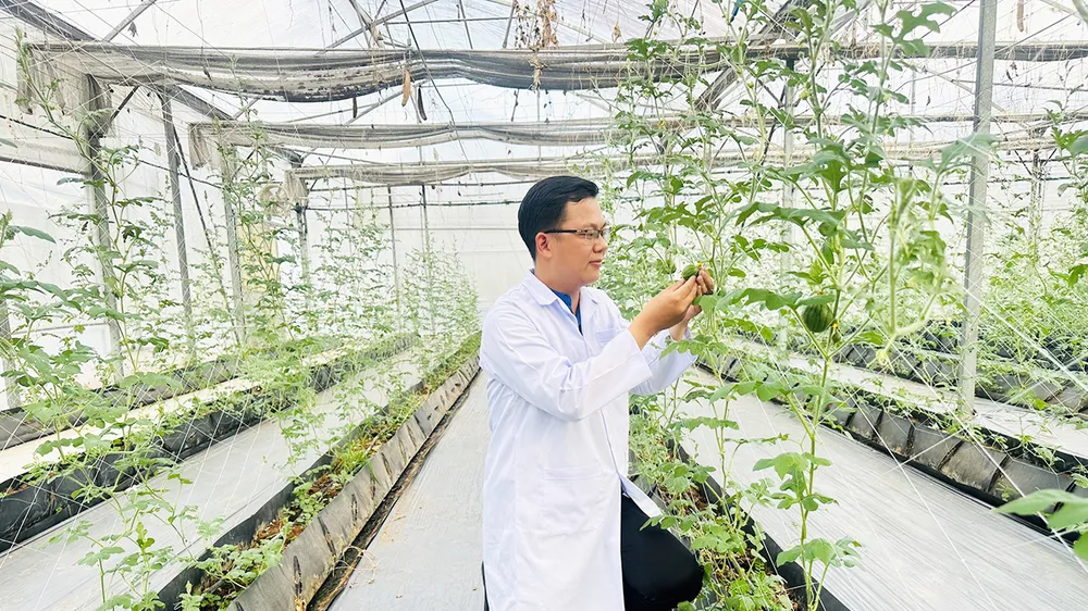 Kỹ sư Phạm Quang Thắng bên khu vườn ươm với những sáng kiến, cải tiến của mình và đồng nghiệp 