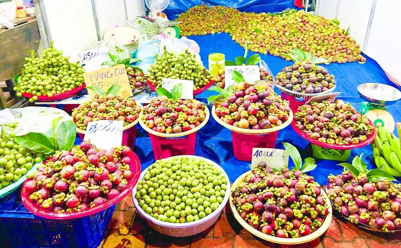 Bình Dương: Nhiều nét mới trong lễ hội “Mùa trái chín” 2024